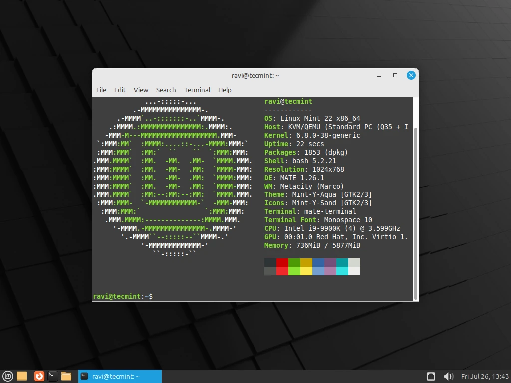 Linux Mint Mate Information