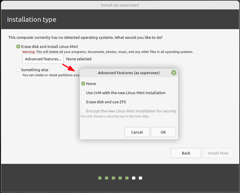 Linux Mint Installation Filesystem Type