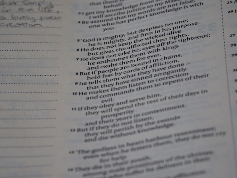How to incorporate feedback from peers or instructors into your essay?