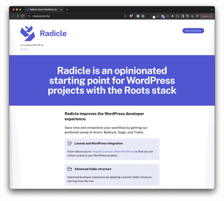 How To Use Roots Radicle with Laravel Herd
