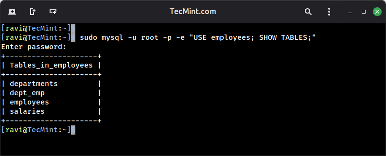 Verify Our MySQL Database Set Up