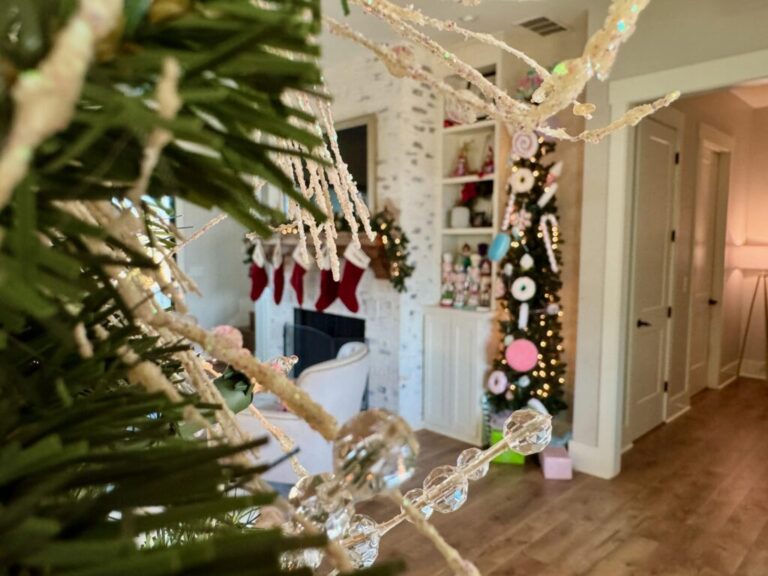 Merry Christmas and Happy Holidays 2025